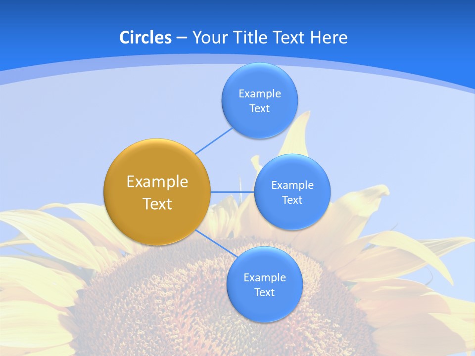 Culture Yellow Sun PowerPoint Template