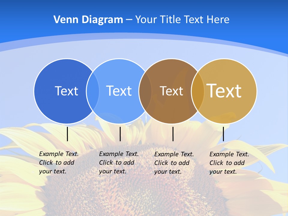 Culture Yellow Sun PowerPoint Template