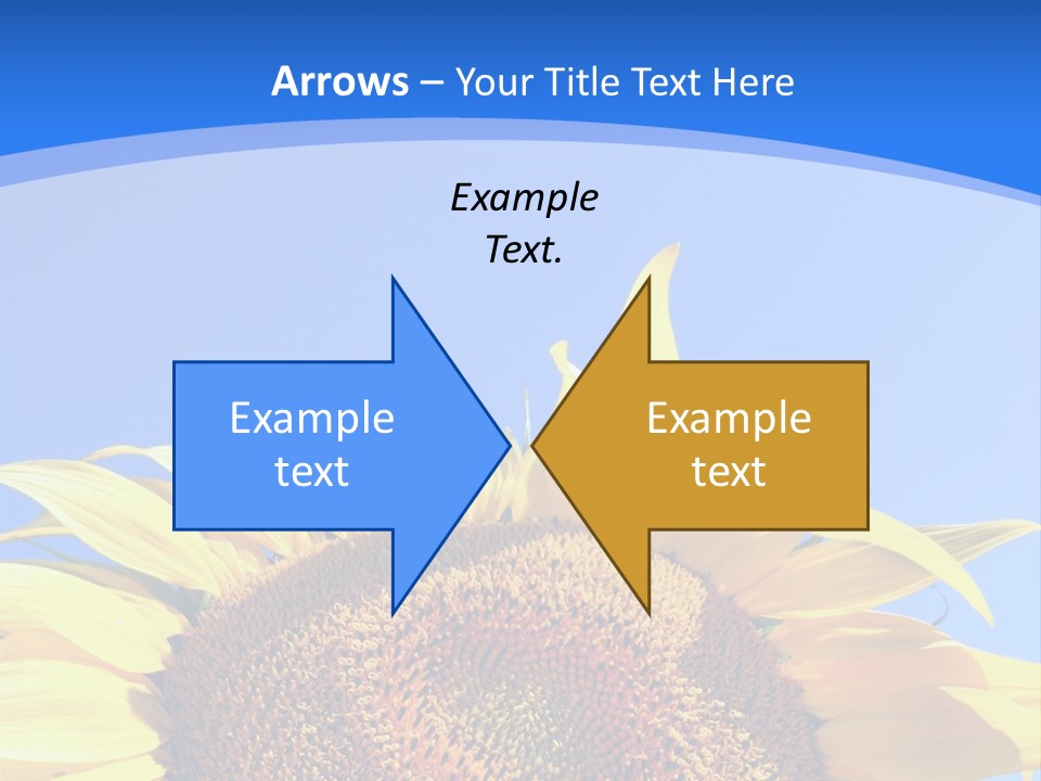 Culture Yellow Sun PowerPoint Template