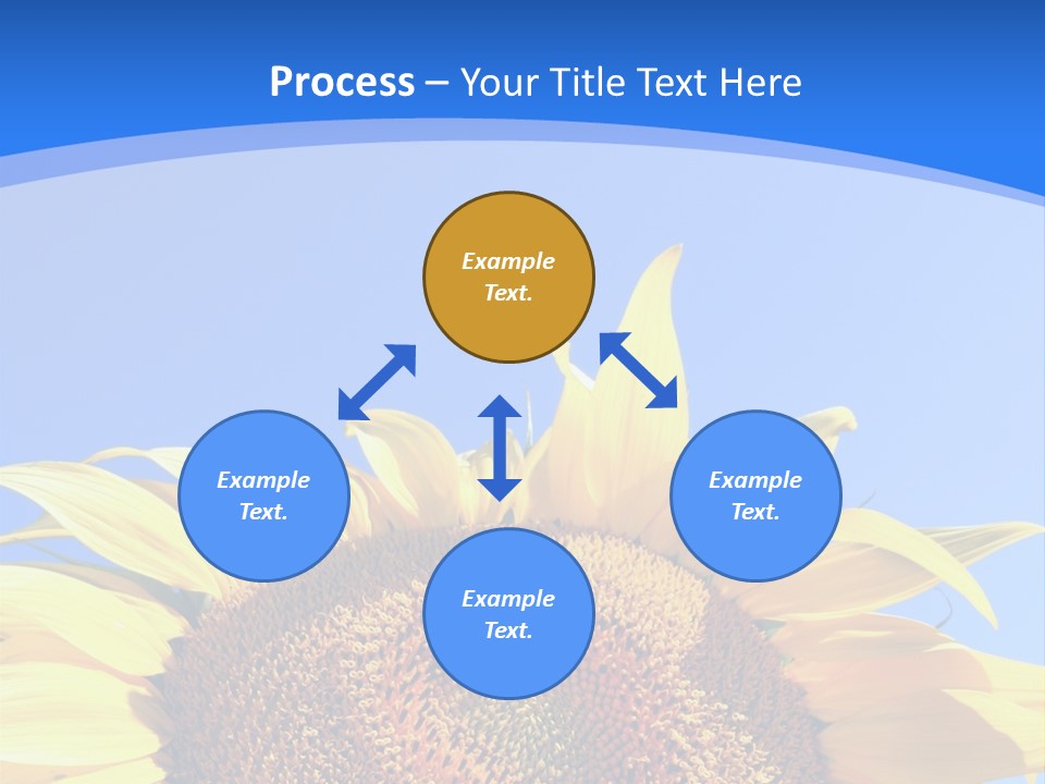 Culture Yellow Sun PowerPoint Template