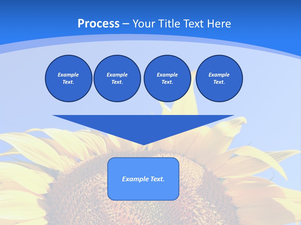 Culture Yellow Sun PowerPoint Template