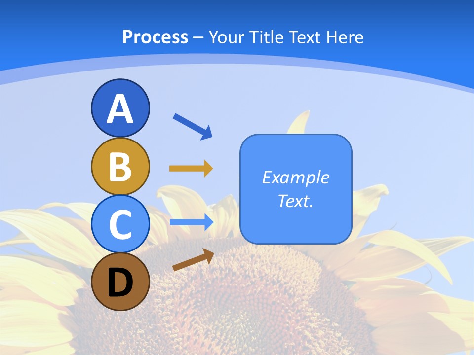 Culture Yellow Sun PowerPoint Template
