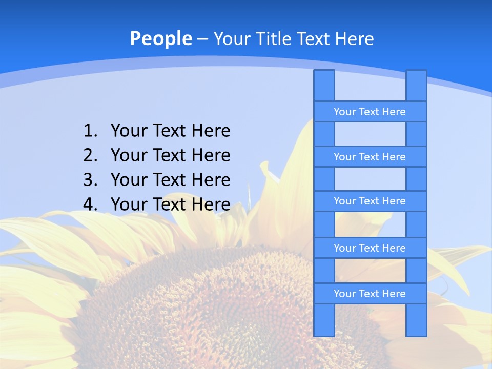 Culture Yellow Sun PowerPoint Template