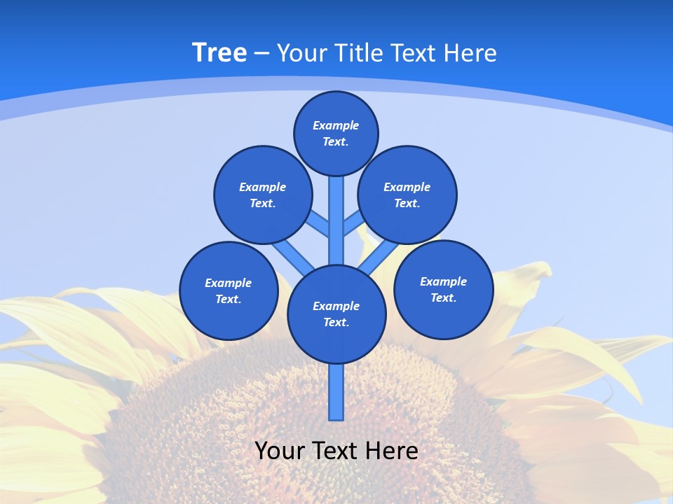 Culture Yellow Sun PowerPoint Template