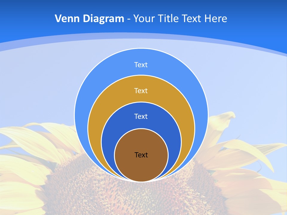 Culture Yellow Sun PowerPoint Template
