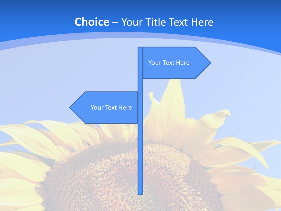 Culture Yellow Sun PowerPoint Template