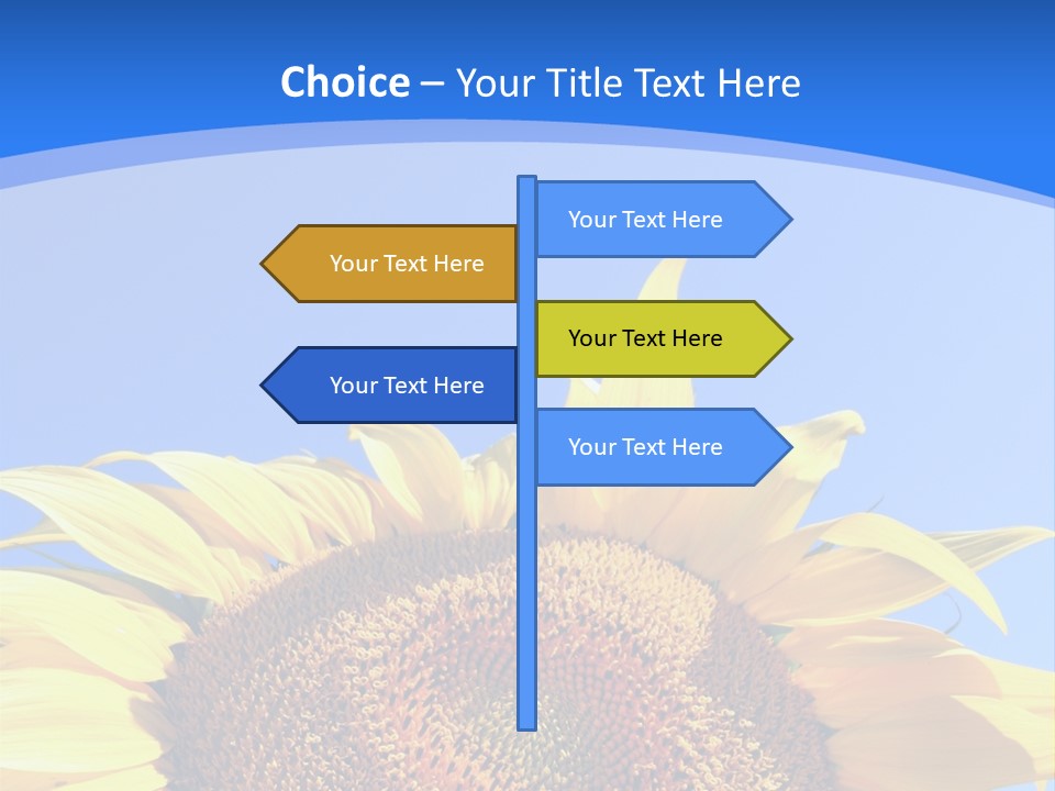 Culture Yellow Sun PowerPoint Template