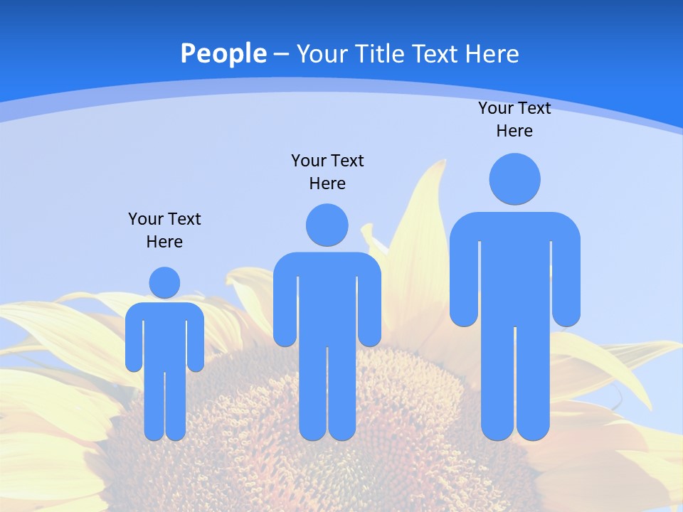 Culture Yellow Sun PowerPoint Template