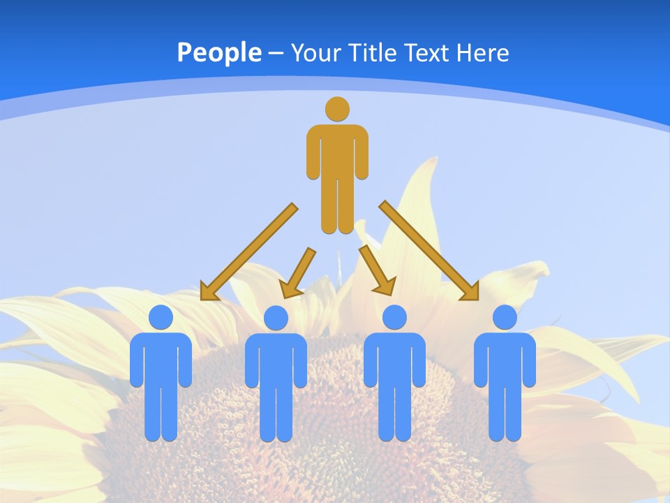 Culture Yellow Sun PowerPoint Template