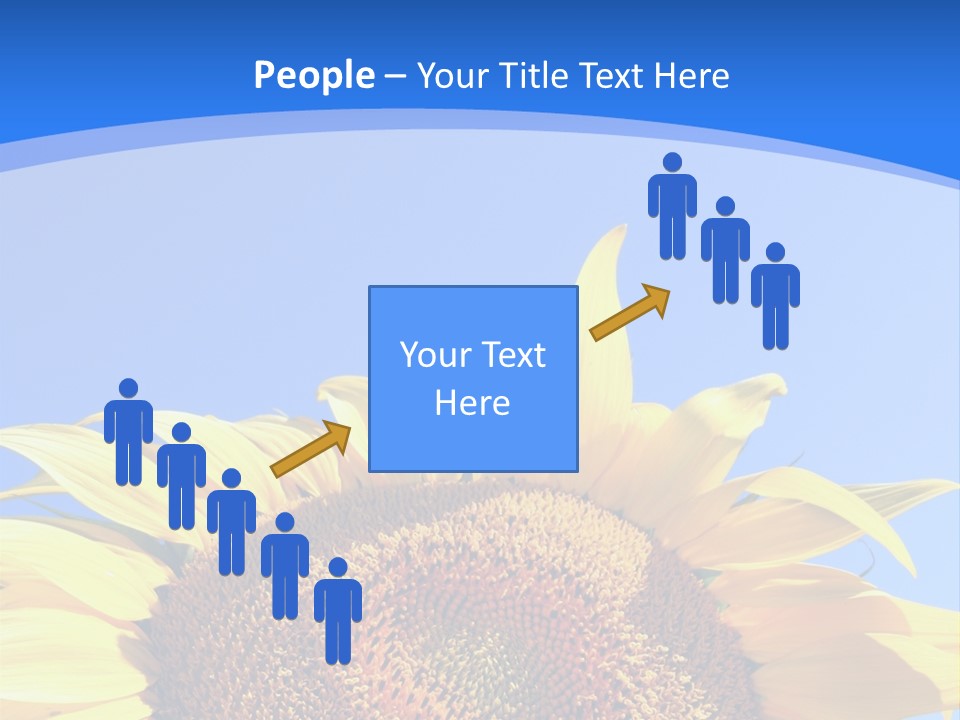 Culture Yellow Sun PowerPoint Template