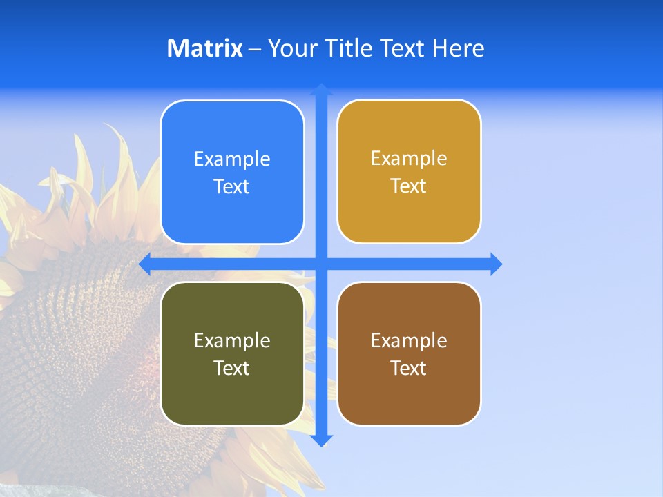 Culture Sun Cereal PowerPoint Template