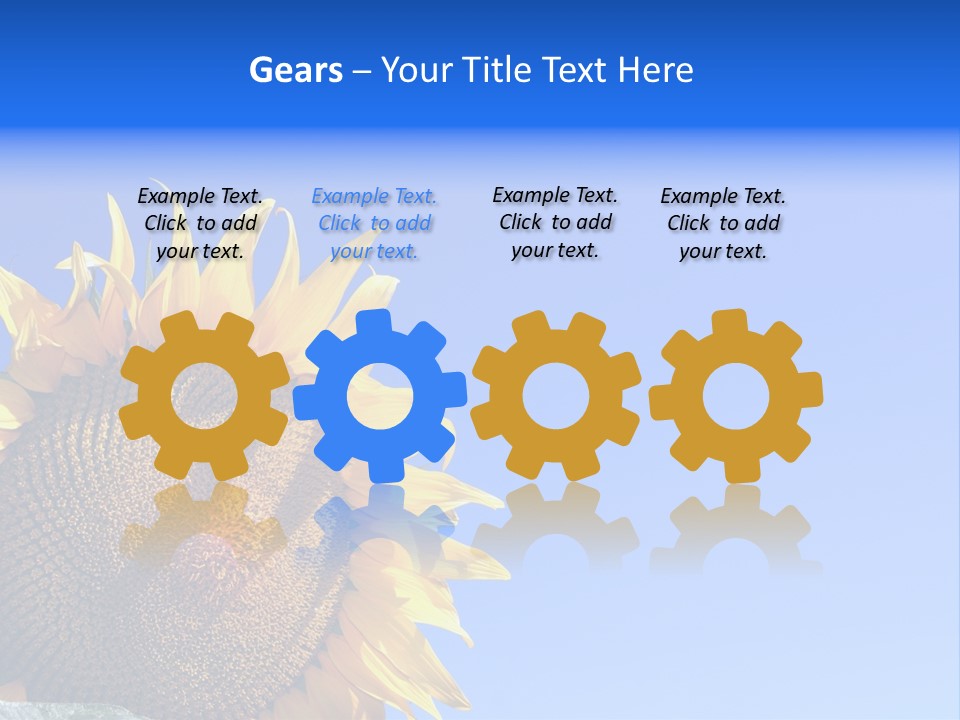 Culture Sun Cereal PowerPoint Template