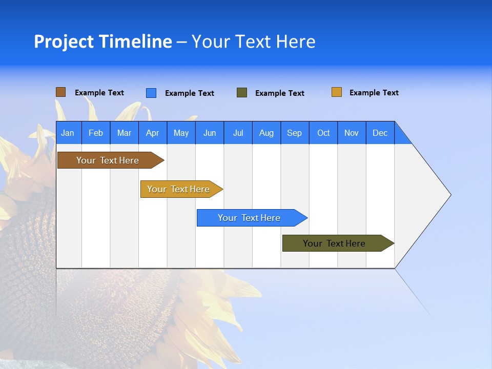 Culture Sun Cereal PowerPoint Template