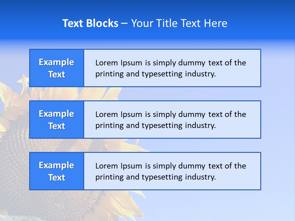 Culture Sun Cereal PowerPoint Template