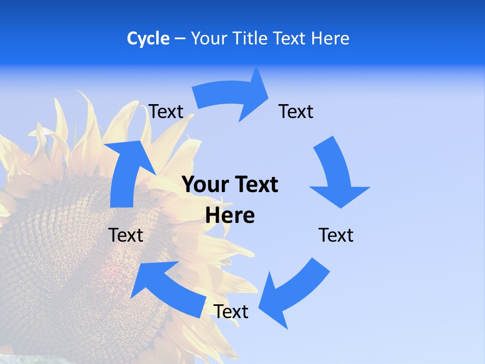 Culture Sun Cereal PowerPoint Template