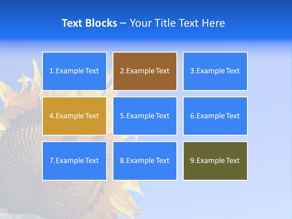 Culture Sun Cereal PowerPoint Template