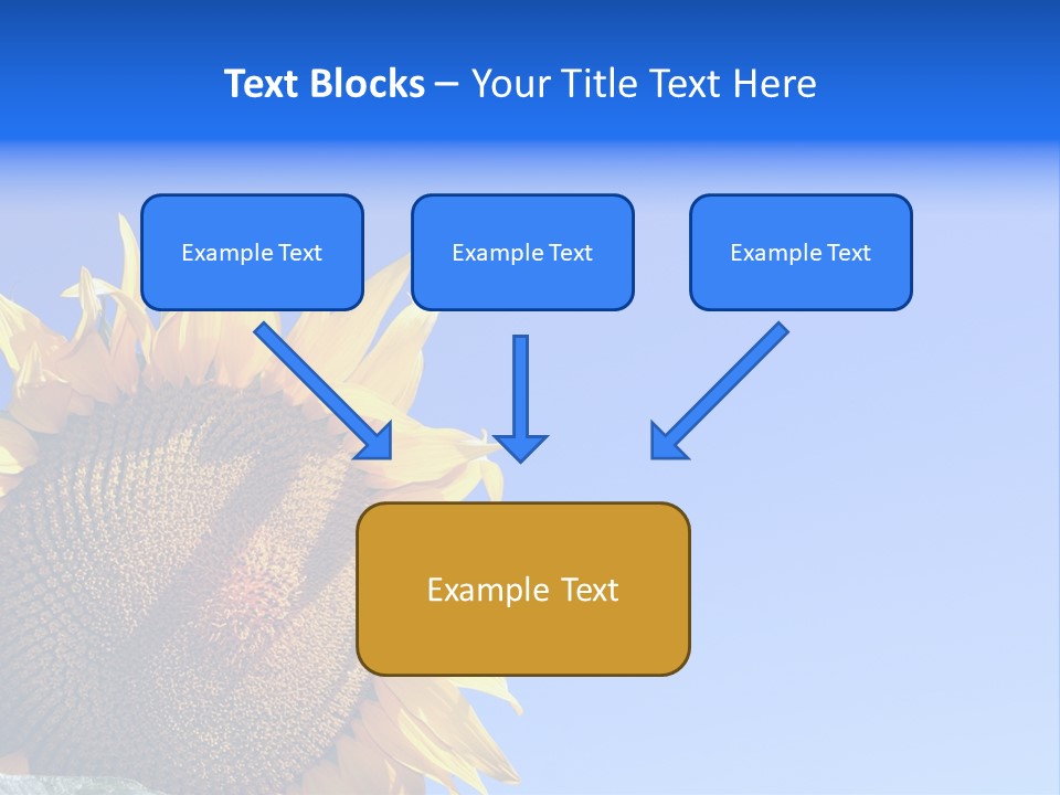 Culture Sun Cereal PowerPoint Template