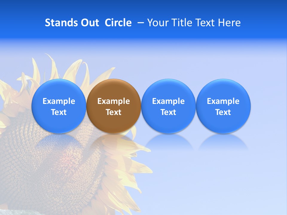 Culture Sun Cereal PowerPoint Template