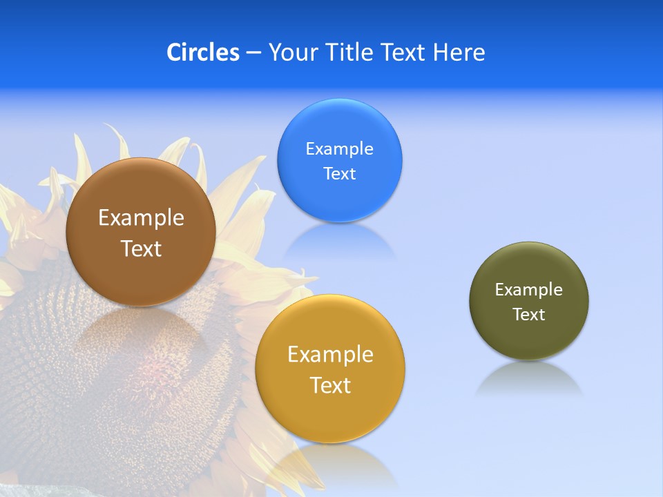 Culture Sun Cereal PowerPoint Template