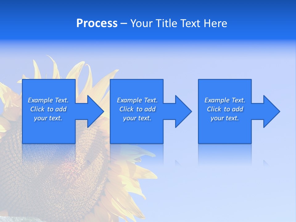 Culture Sun Cereal PowerPoint Template