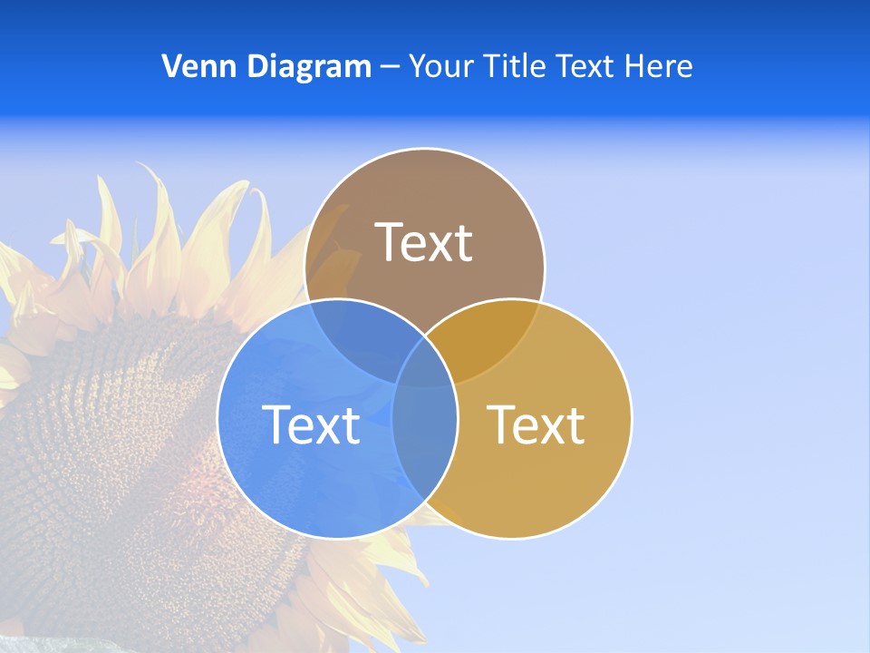 Culture Sun Cereal PowerPoint Template