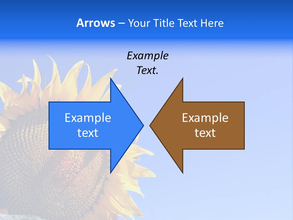 Culture Sun Cereal PowerPoint Template