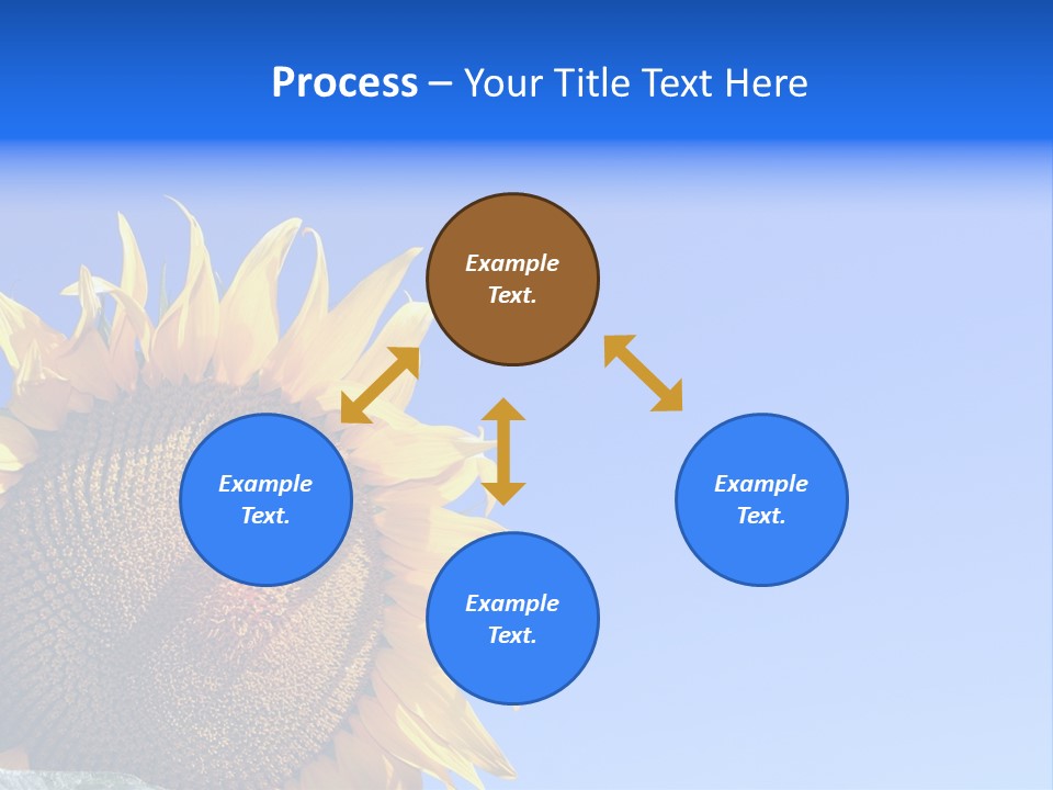 Culture Sun Cereal PowerPoint Template