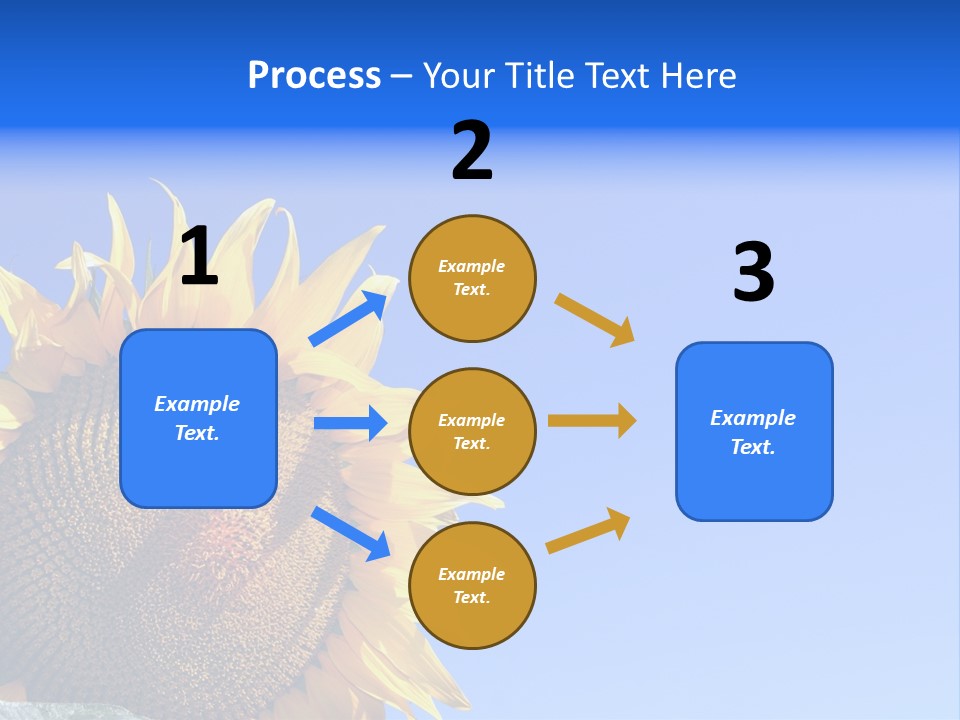 Culture Sun Cereal PowerPoint Template