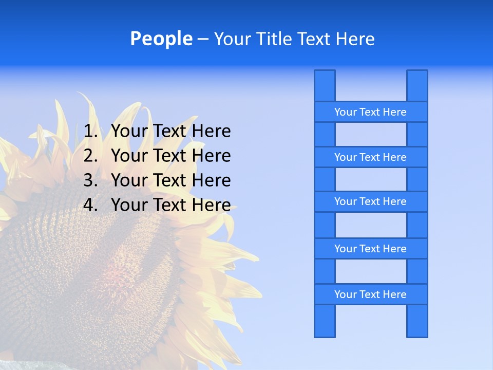 Culture Sun Cereal PowerPoint Template
