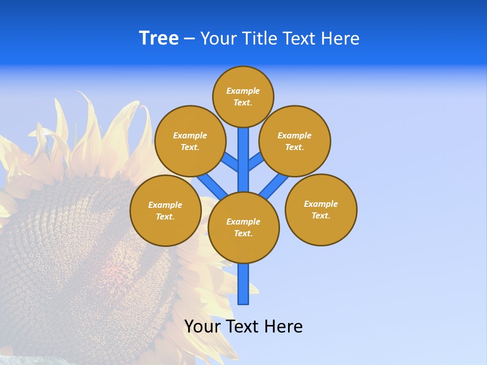 Culture Sun Cereal PowerPoint Template