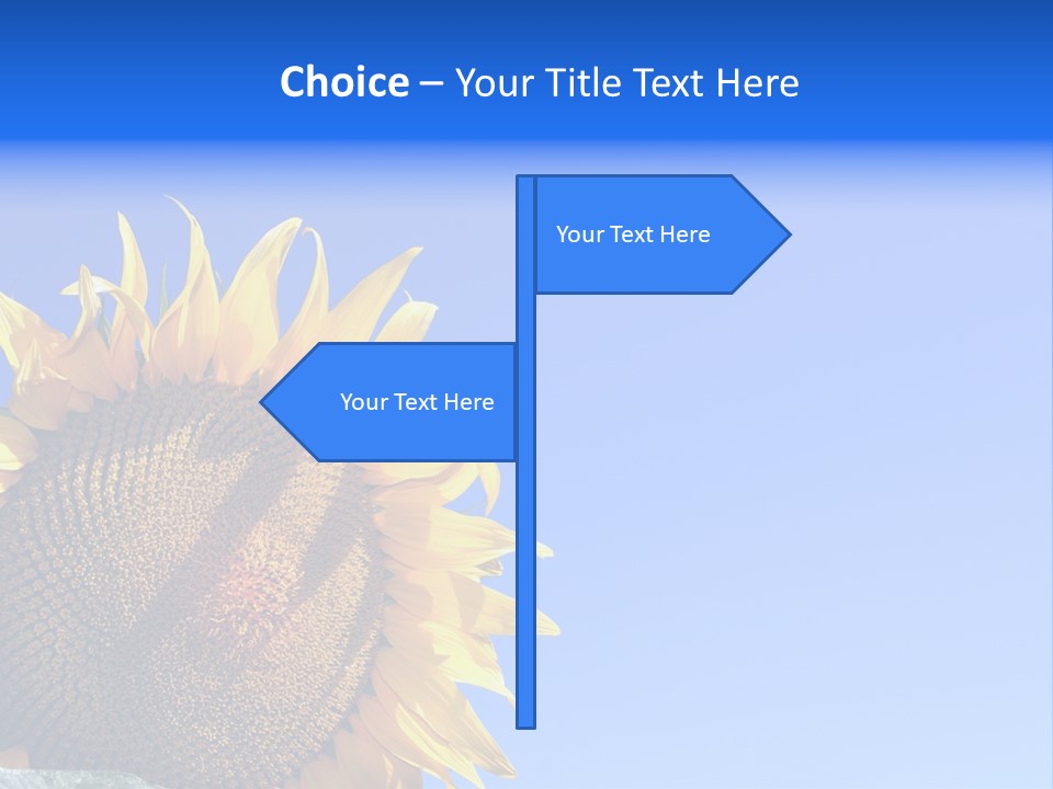 Culture Sun Cereal PowerPoint Template