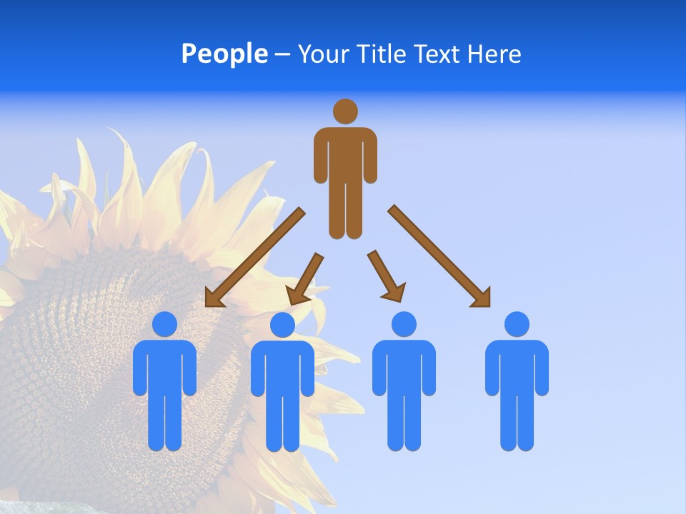 Culture Sun Cereal PowerPoint Template