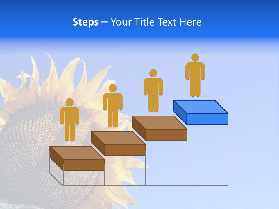 Culture Sun Cereal PowerPoint Template