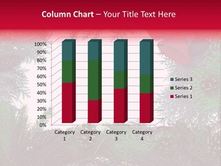 Cone Holiday Fir PowerPoint Template