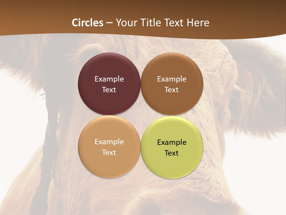 Farmland Ear Wildlife PowerPoint Template