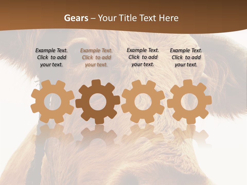 Farmland Ear Wildlife PowerPoint Template