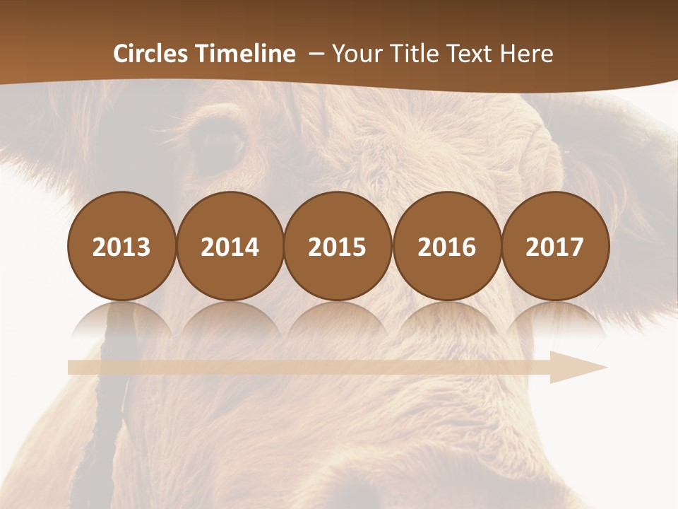 Farmland Ear Wildlife PowerPoint Template