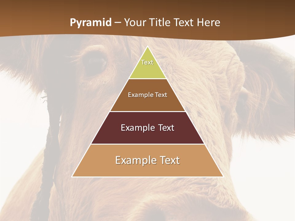 Farmland Ear Wildlife PowerPoint Template