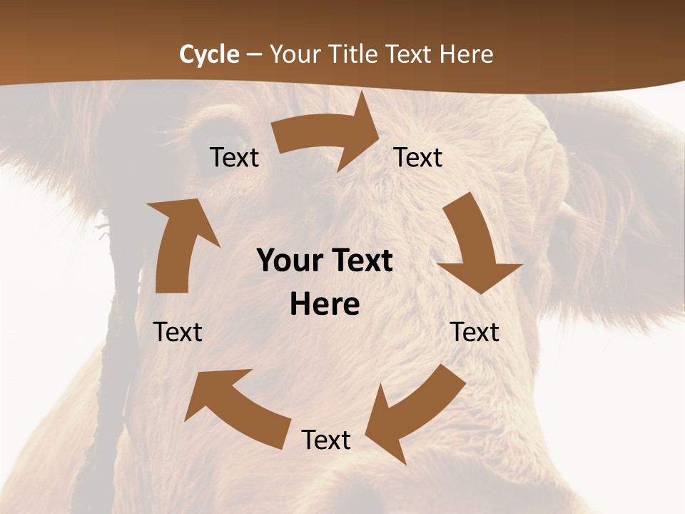 Farmland Ear Wildlife PowerPoint Template