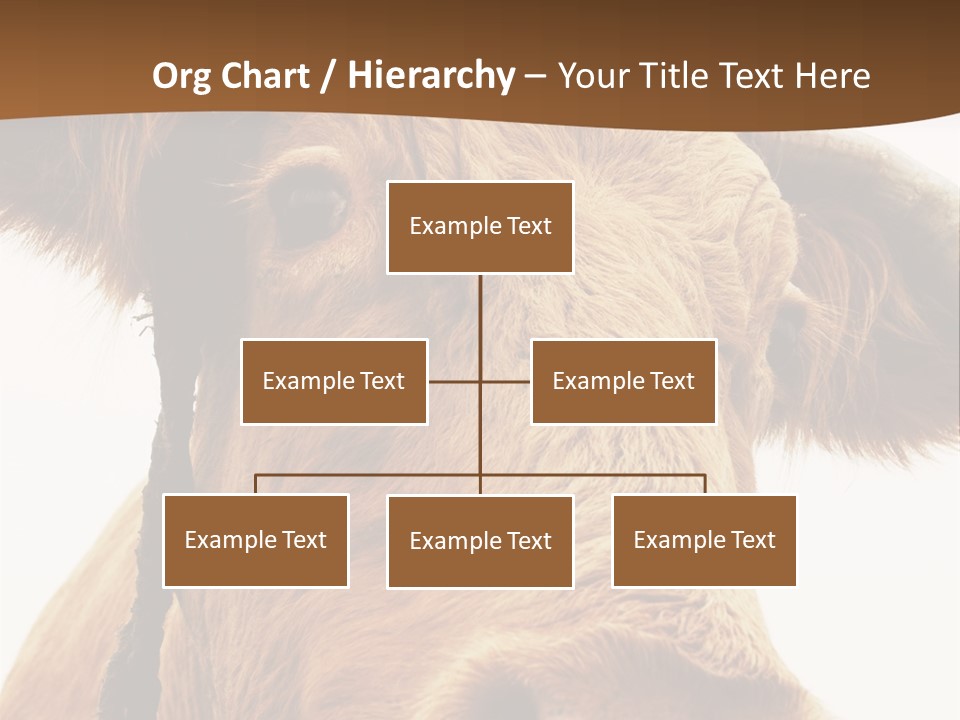 Farmland Ear Wildlife PowerPoint Template