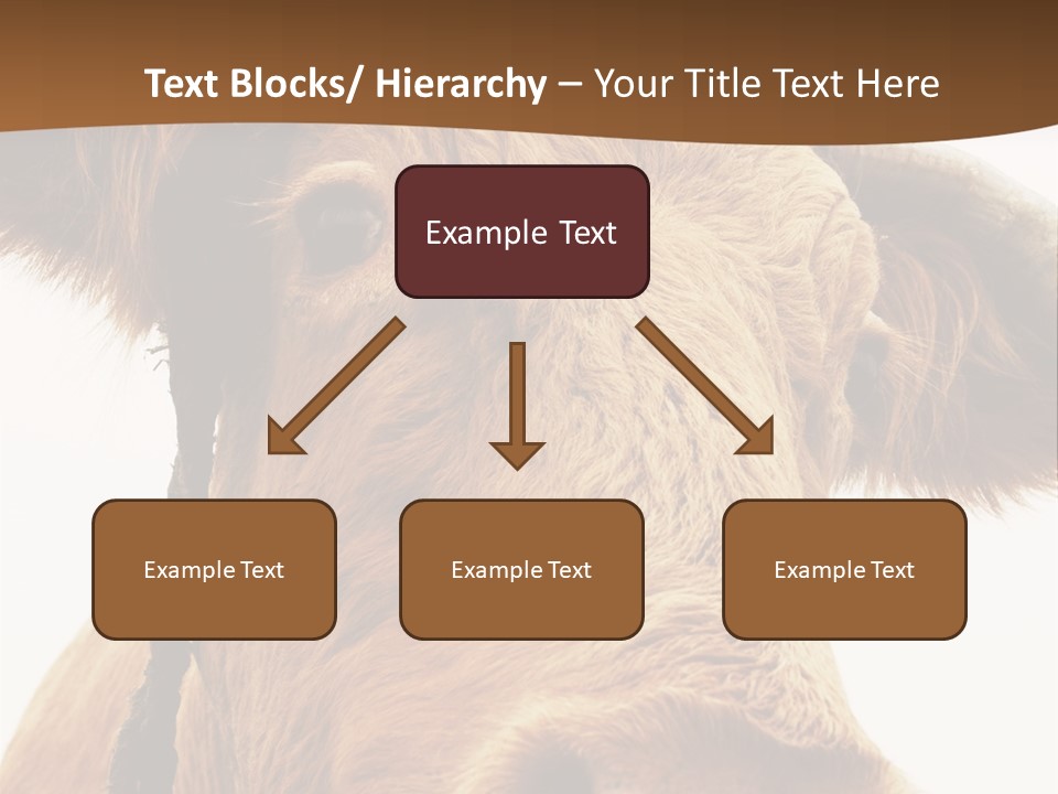 Farmland Ear Wildlife PowerPoint Template