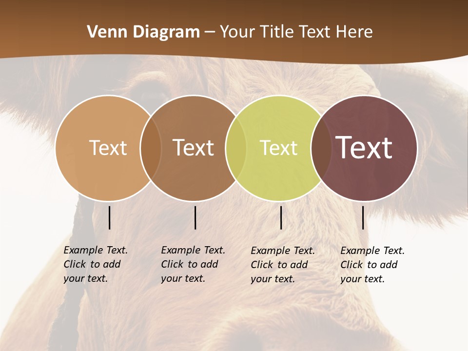 Farmland Ear Wildlife PowerPoint Template