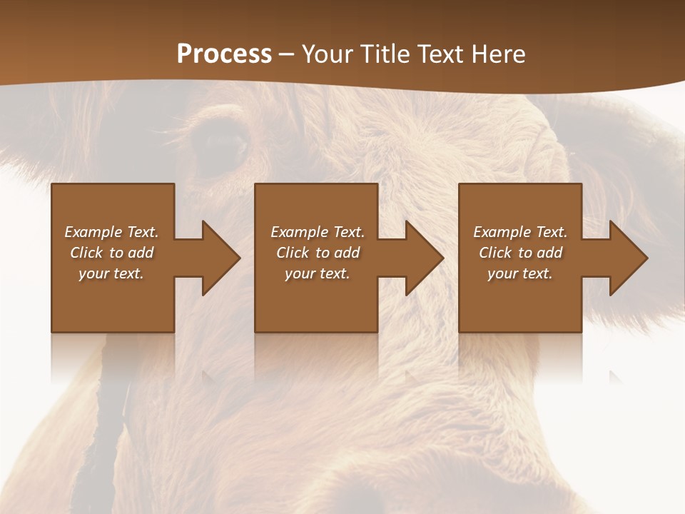 Farmland Ear Wildlife PowerPoint Template
