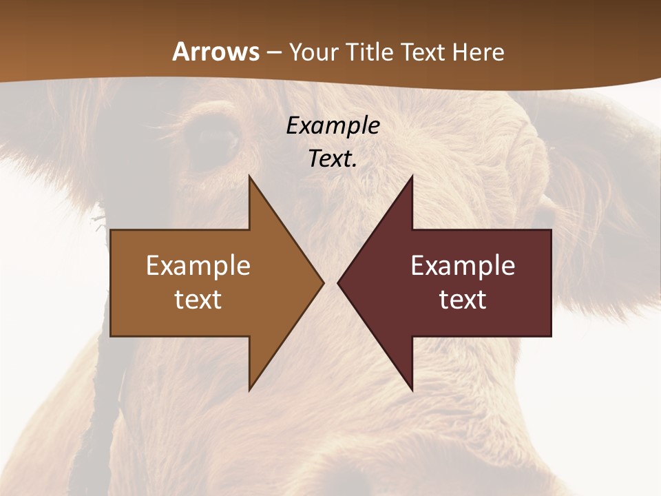 Farmland Ear Wildlife PowerPoint Template