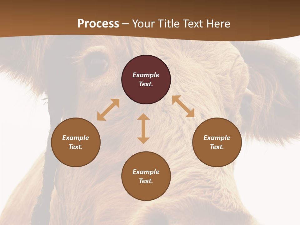 Farmland Ear Wildlife PowerPoint Template