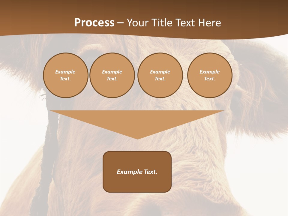 Farmland Ear Wildlife PowerPoint Template