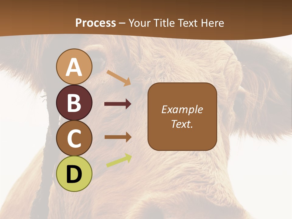 Farmland Ear Wildlife PowerPoint Template