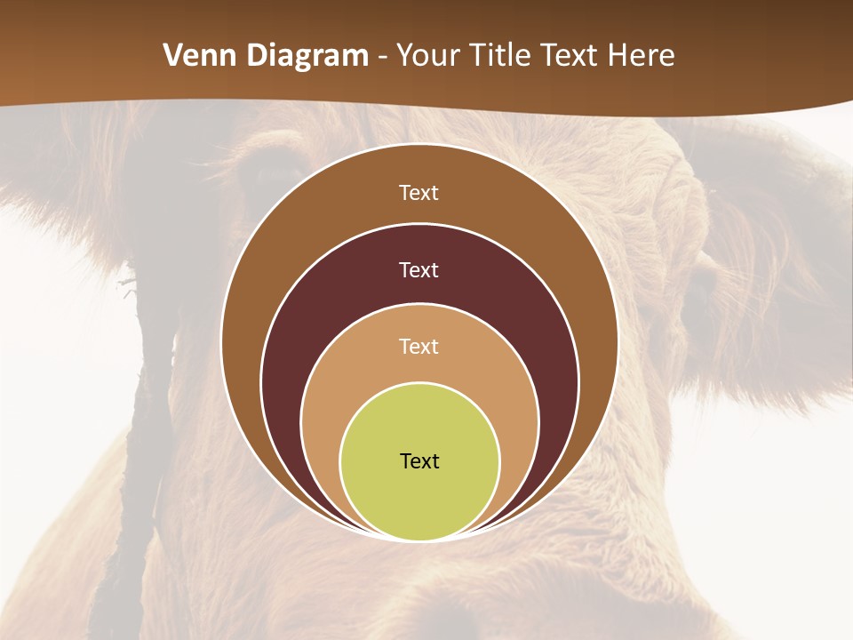 Farmland Ear Wildlife PowerPoint Template