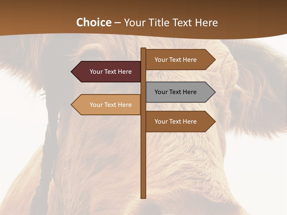 Farmland Ear Wildlife PowerPoint Template