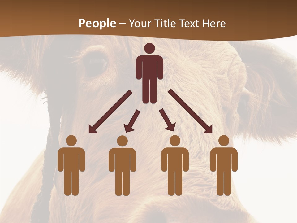 Farmland Ear Wildlife PowerPoint Template